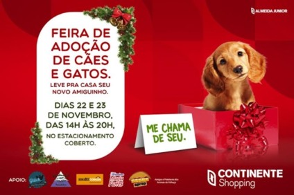 Continente Shopping promove feira de adoção de animais