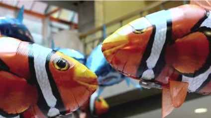 "Fishmob" promove aquário em Vancouver