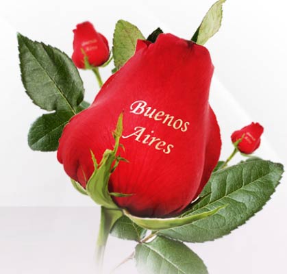 Em Buenos Aires na ação promocional da florQdiz
