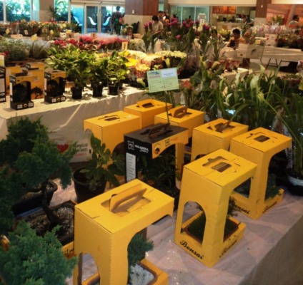 Salvador Shopping recebe a tradicional Feira de Holambra