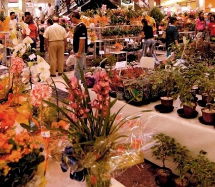 Penha realiza exposição de flores e orquídeas