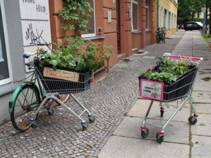 Jardinagem de guerrilha é atração em Londres