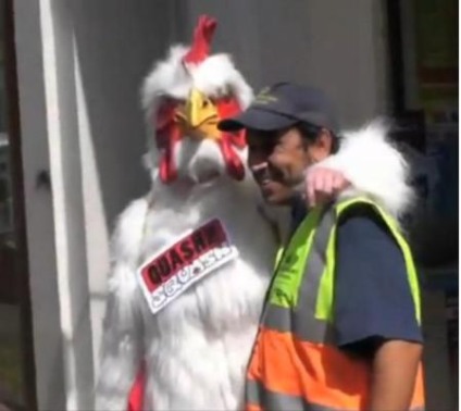 Uma galinha que incomoda muita gente