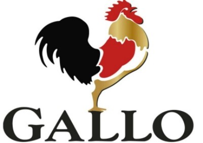 gallo 100 anos