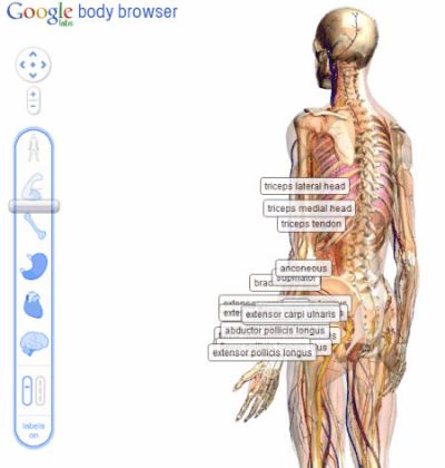 Google começa a explorar o corpo humano