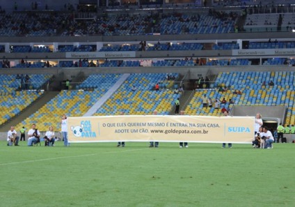Cães invadem gramado do Maracanã 
