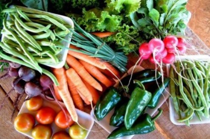 Embratur divulgará agricultura familiar no Exterior