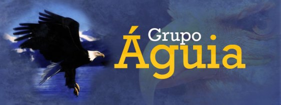 Grupo Águia prepara equipes para a Copa do Mundo