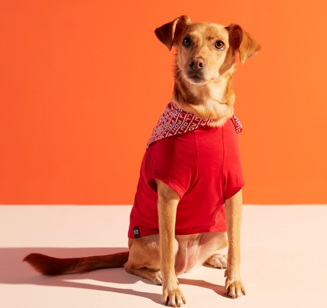 Hering apresenta linha especial para pets