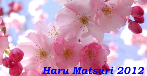 Festival Haru Matsuri chega com a Primavera 