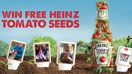 Heinz estimula ingleses a plantar tomates