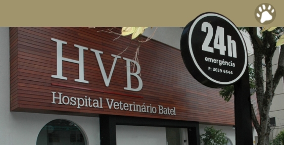 Talk assume a conta do Hospital Veterinário Batel