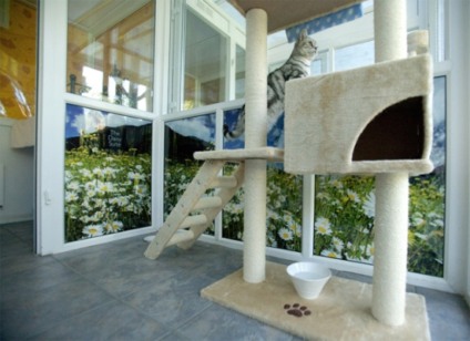 Primeiro hotel de luxo para gatos abre na Inglaterra