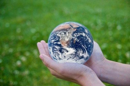 Ibef incentiva empresas com Prêmio de Sustentabilidade