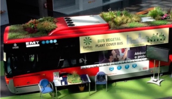 Tetos de ônibus são cobertos com plantas na Espanha