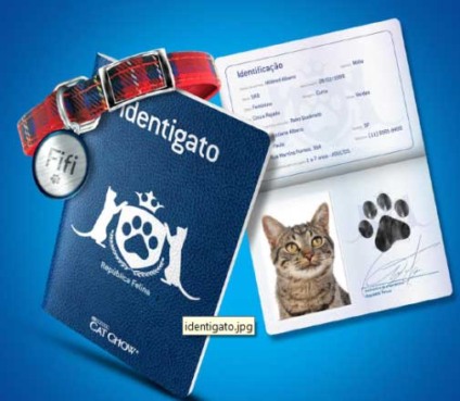 Purina apresenta “Cat Chow Identigato”