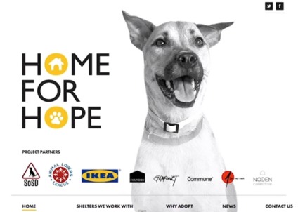 Ikea estimula adoção de animais em suas lojas