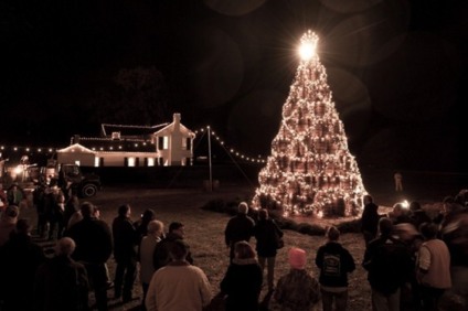 Jack Daniel's faz árvore de Natal de whisky