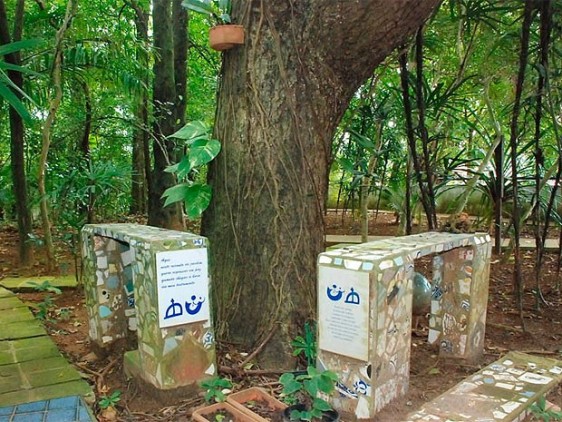 Cinzas de Jorge Amado e Zélia Gattai estão guardadas na casa que passa a ser museu.