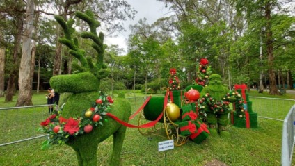 Innova AATB assina o Natal no Parque do Ibirapuera