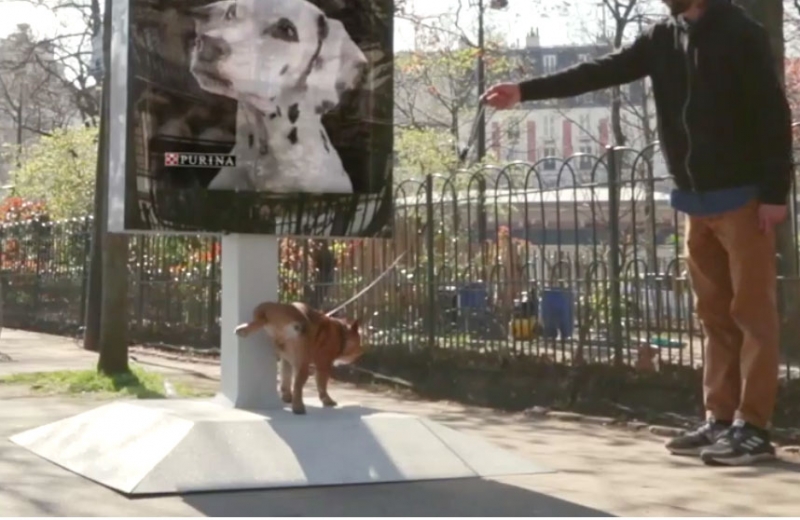 Cães fazem xixi em peça publicitária da Purina