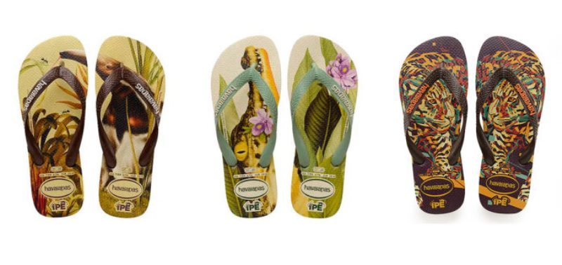 Coleção de Havaianas tem venda revertida para os animais do Pantanal