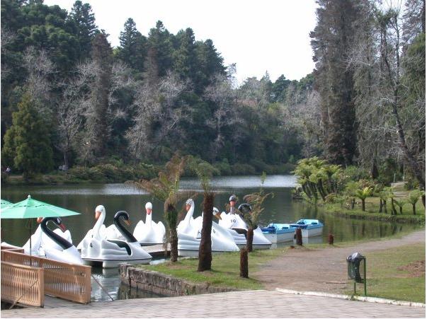 lago-negro