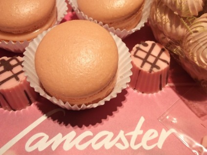 Grupo Lancaster investe no Rosa