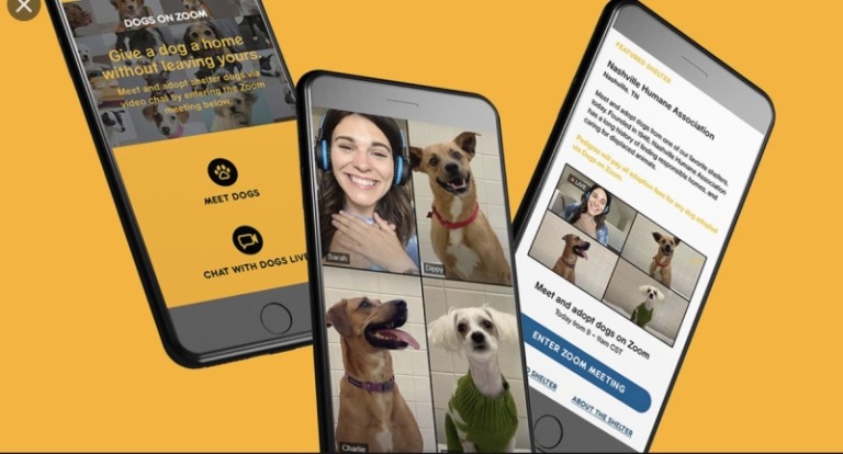 CMO da Mars não quer que o marketing volte ao 'normal’
