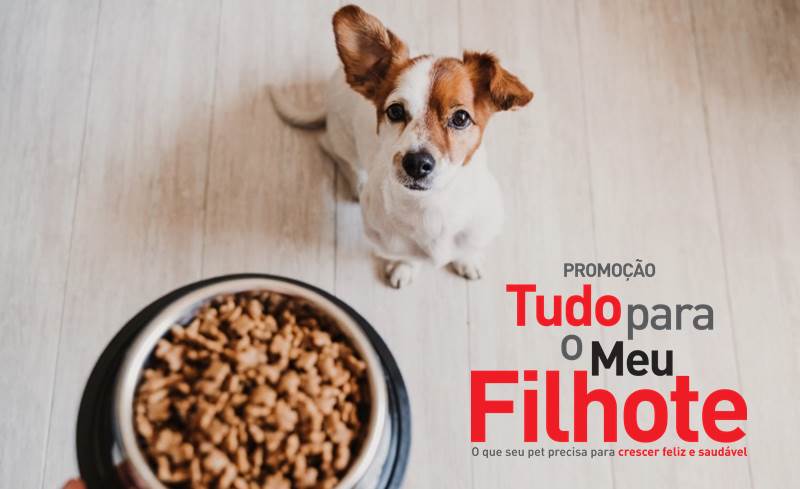 Promo da Royal Canin dá um ano de alimentação para o seu pet