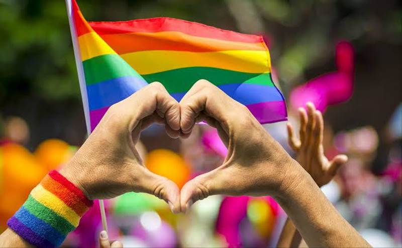 Crise afeta ações para o Dia Nacional do Orgulho Gay