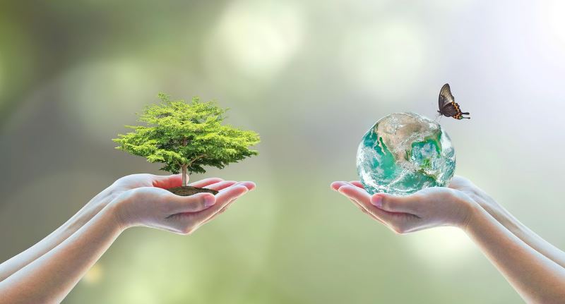 D&I e ESG: Crescimento sustentável e humanizado é possível