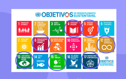 Projeto Circulando: Desenvolvimento sustentável da ONU