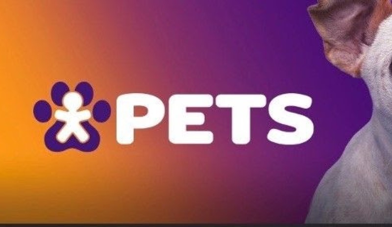 Vivo cria movimento para adoção de Pets