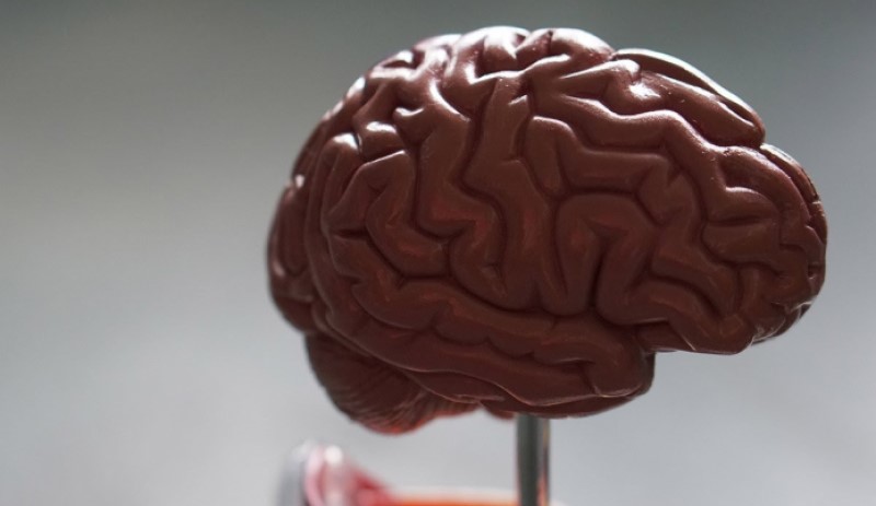 Neuromarketing ativa vendas e personaliza a comunicação