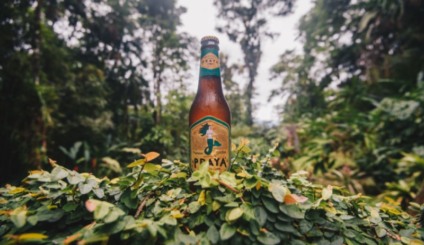 Praya e Makro Atacadista plantam mais de 13 mil árvores
