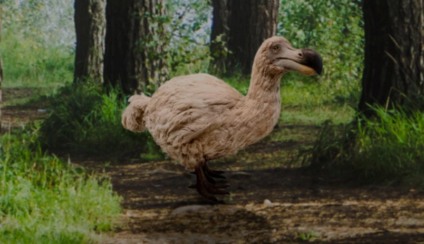 WWF recria animais extintos para interagir virtualmente