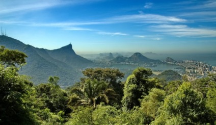 Dia Nacional da Mata Atlântica pede reflexão