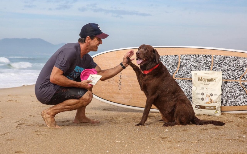 Nutrire e cão surfista: Parceria pelo meio ambiente Nutrire e cão surfista: Parceria pelo meio ambiente