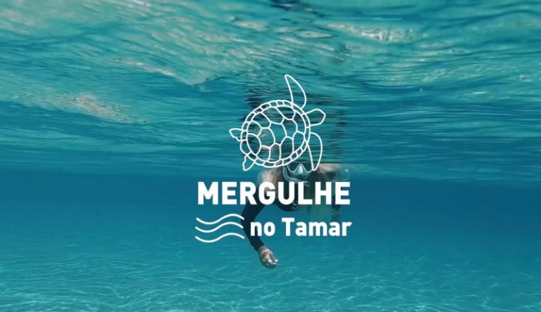 Jeep celebra Mês do Meio Ambiente com 'Mergulho no Tamar'