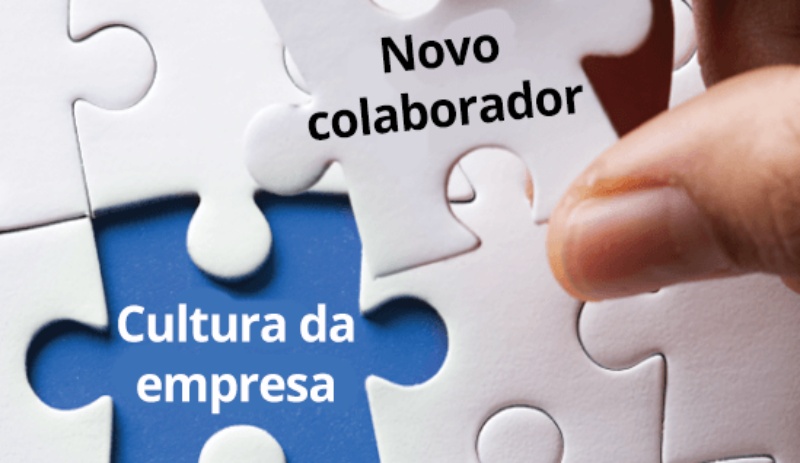 Fit cultural e diversidade: Quando bem alinhados fortalecem o DNA da empresa