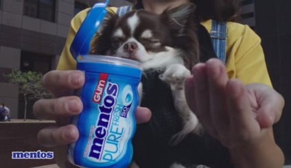 Mentos convida seus consumidores para fugirem do óbvio