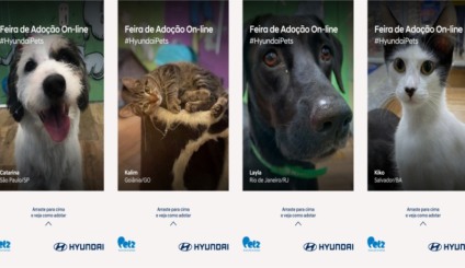 Hyundai celebra o Dia Nacional do Vira-lata