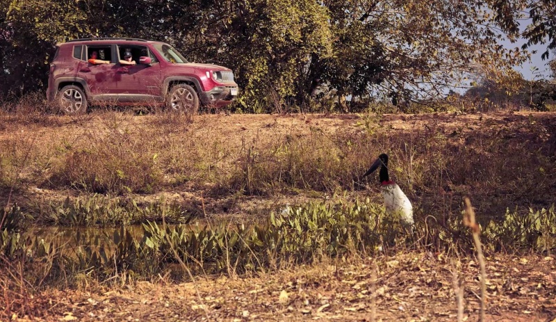 Jeep celebra Dia dos Pais com expedição pelo Pantanal