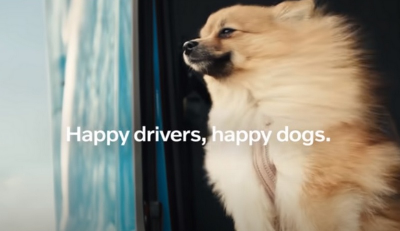 Cães protagonizam campanha da Volvo Trucks