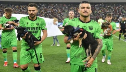 Campanha inusitada incentiva adoção de pets