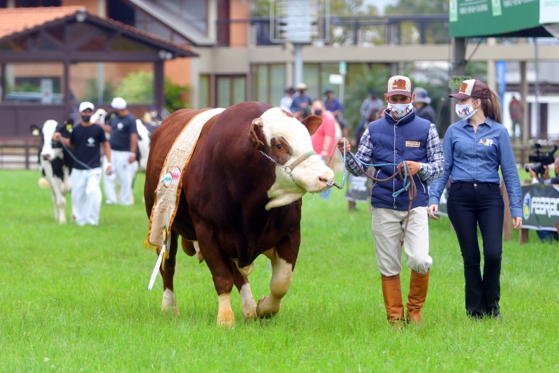 Expofeiras recebem público com expectativa após sucesso da Expointer