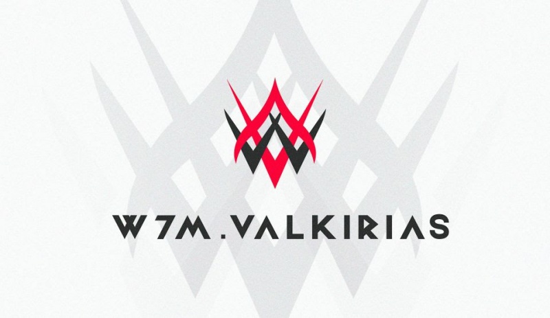 W7M Gaming anuncia parceria com Valkirias