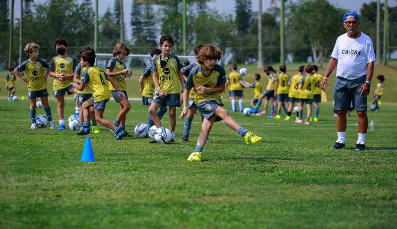 dor7-2