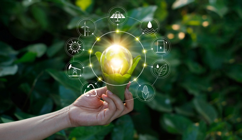 Ecology concept. Hand holding light bulb against nature on green leaf with icons energy sources for renewable, sustainable development, save energy.